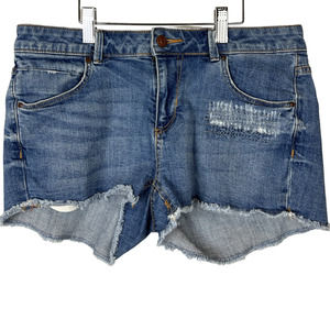 & Shorts 2 inch inseam Denim Distressed cutoff shorts Size 10